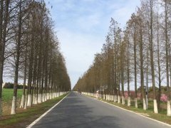 上海律師_借車給別人出交通事故車主有責(zé)任？